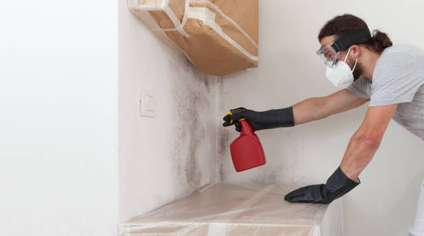 Professional Basement Mold Remediation technician working in South Boston, VA