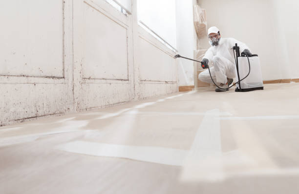 24/7 Emergency Basement Mold Remediation experts in South Boston, VA